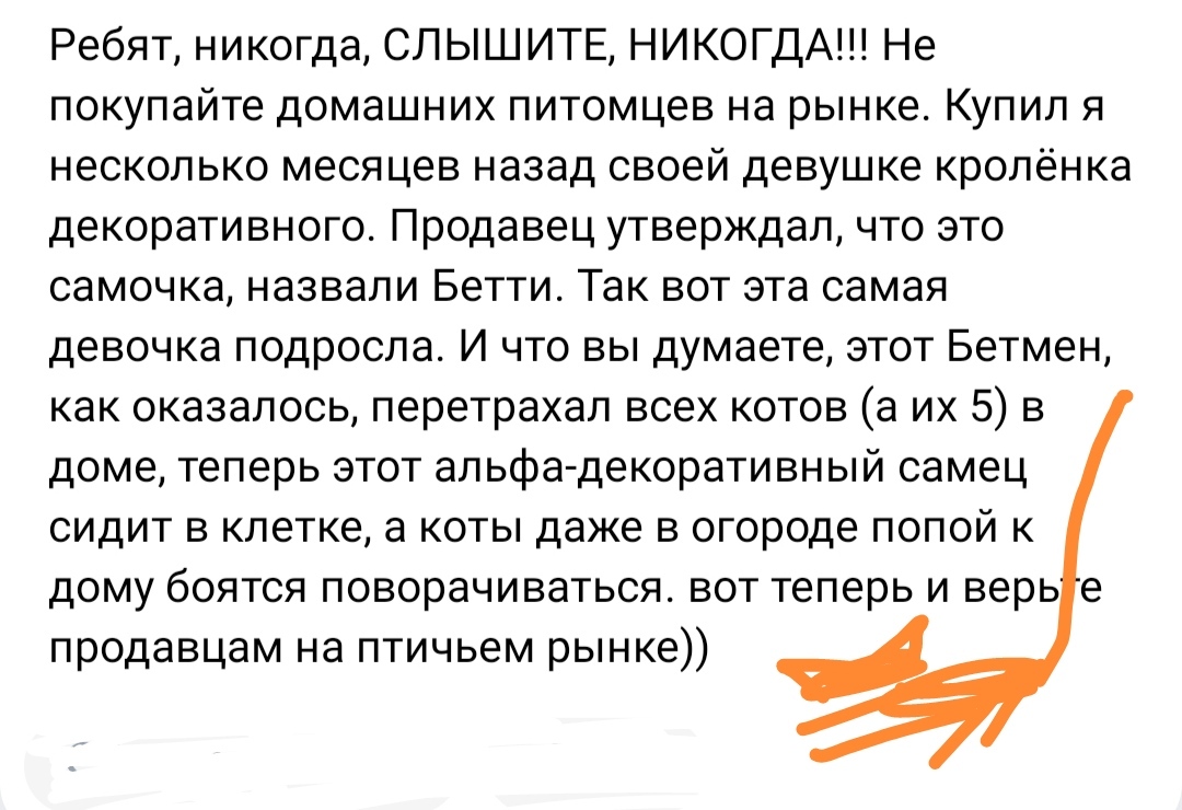 Как- то так 554... - Как-То так, ВКонтакте, Подборка, Скриншот, Обо всём, Исследователи форумов, Длиннопост