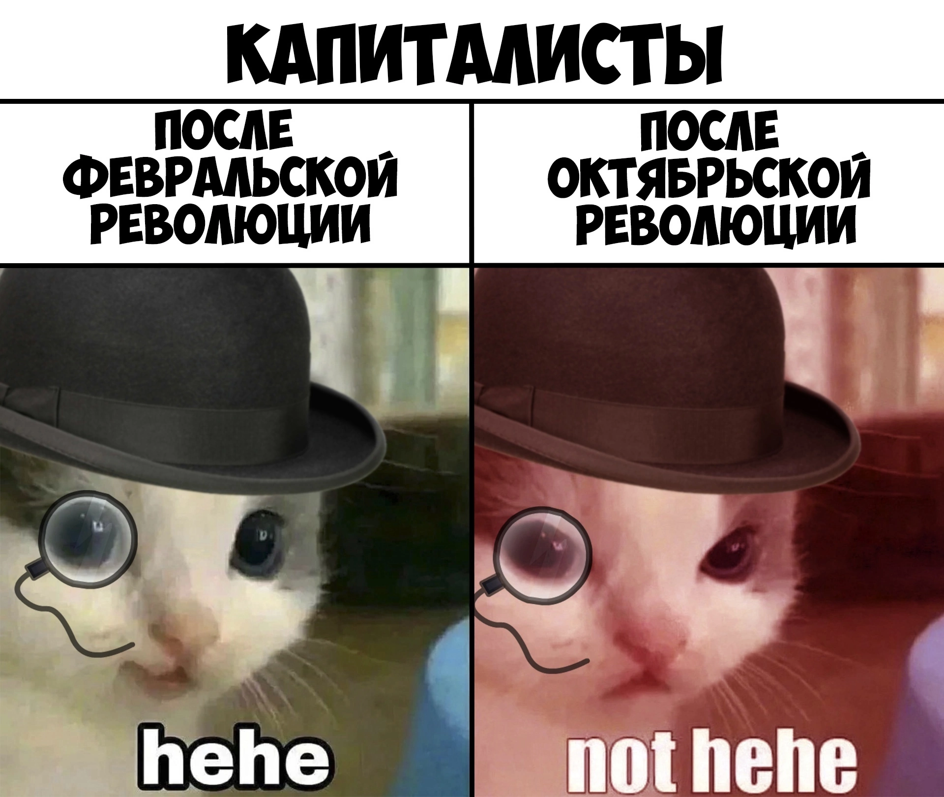 Not hehe. Хехе нот хехе. Нот хехе Мем кот. Hehe котенок. Hehe кот Мем.