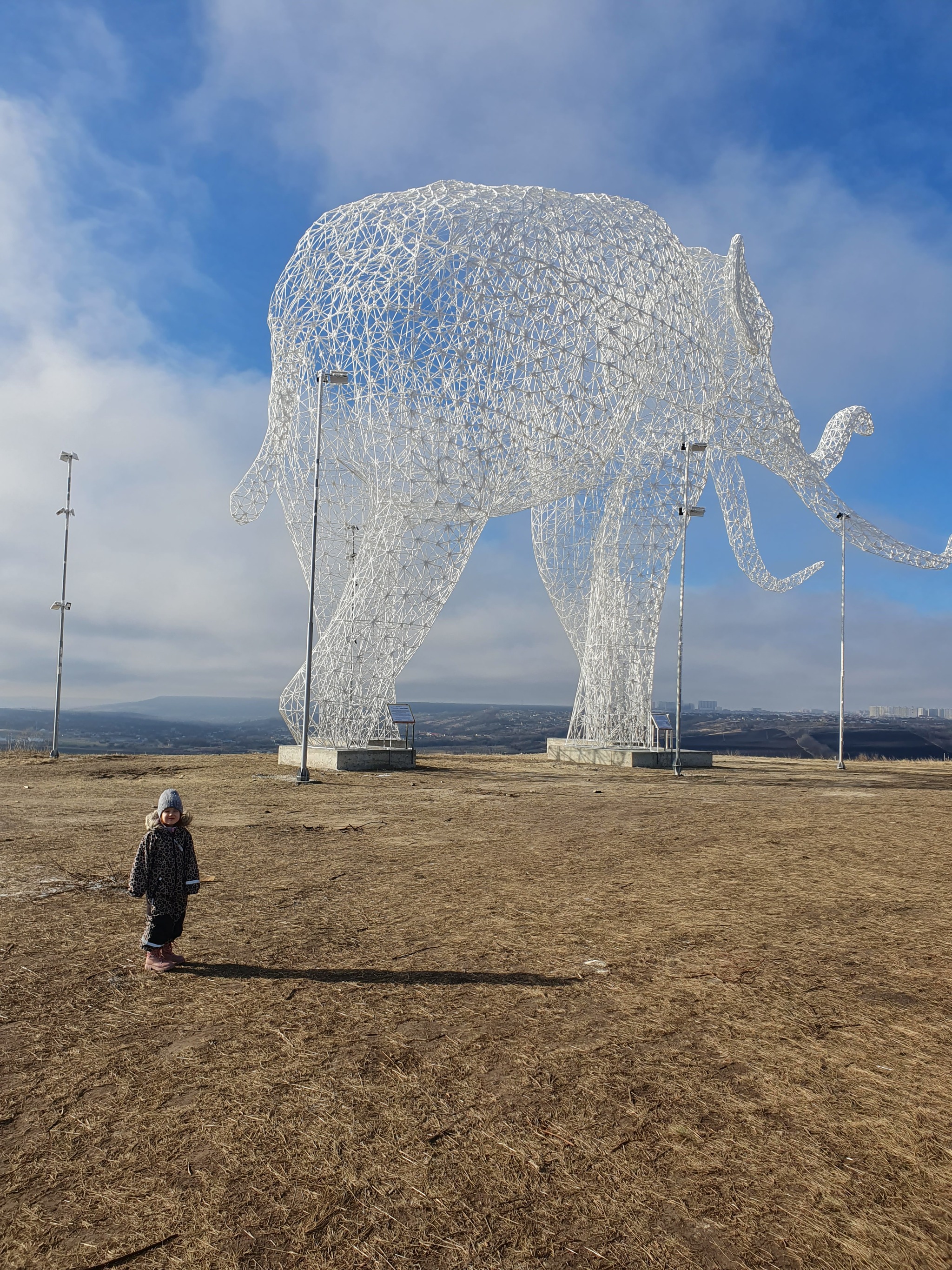 Stavropol elephant - My, Stavropol, Mammoth, Elephants, Art object, Walk, Longpost