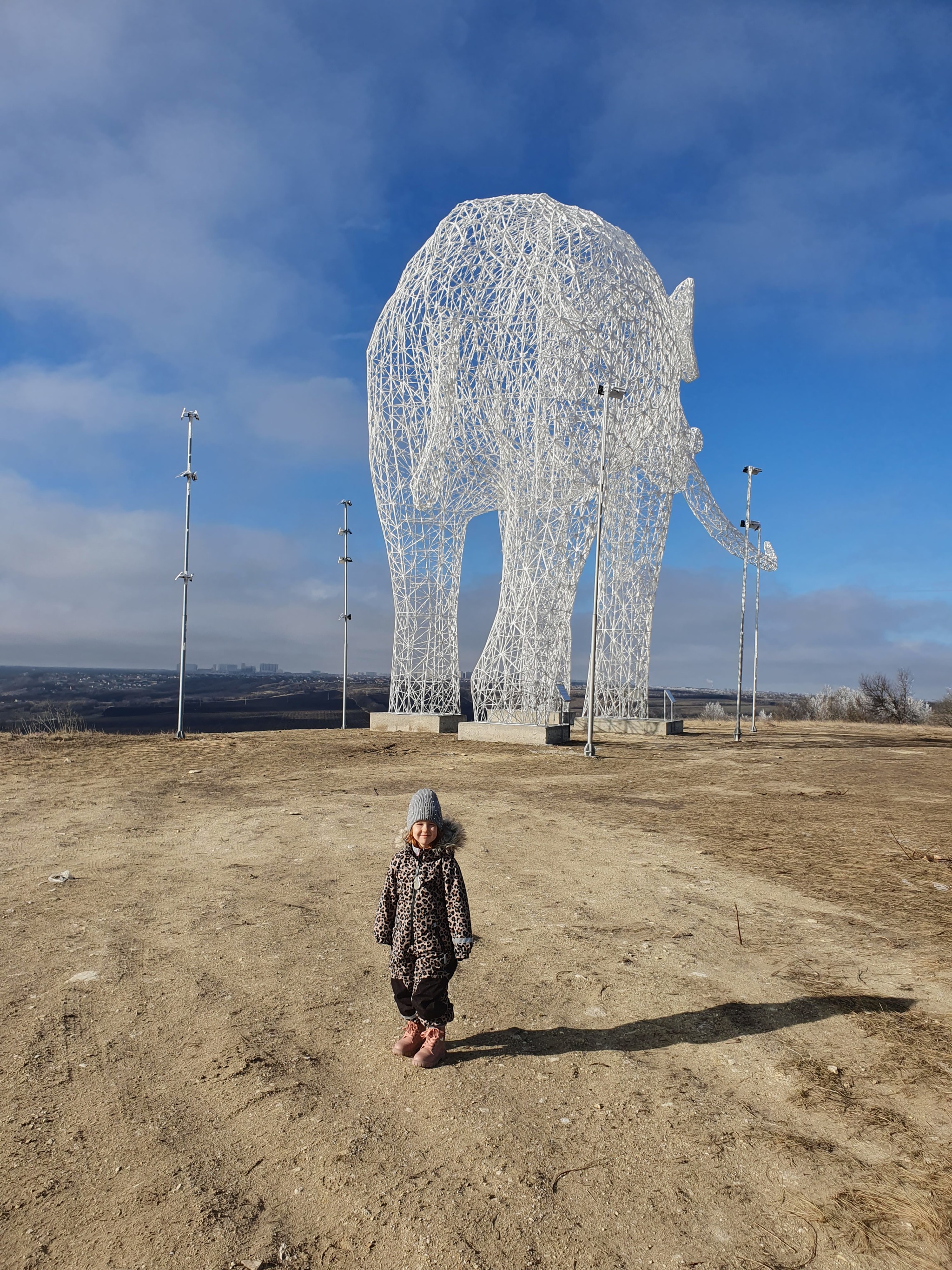 Stavropol elephant - My, Stavropol, Mammoth, Elephants, Art object, Walk, Longpost