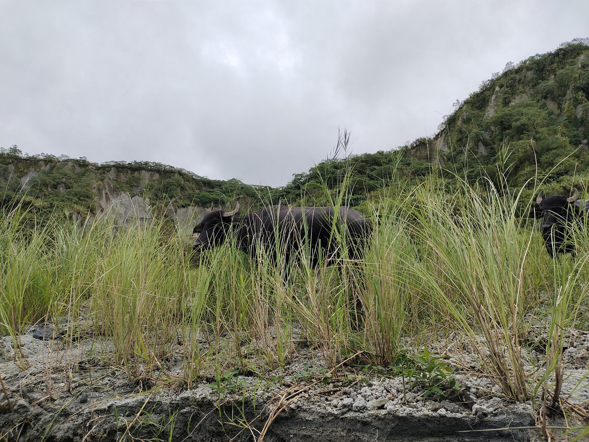 Winter trip to Mount Pinatubo (Philippines) - My, Mountain tourism, Volcano, Philippines, Longpost