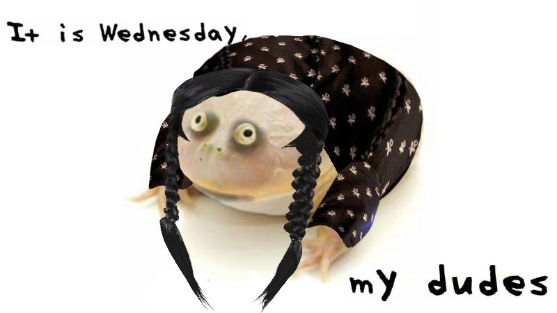 Wednesday dudes - Memes, Humor, Toad, Wensday Addams, Wensday (TV series), Picture with text