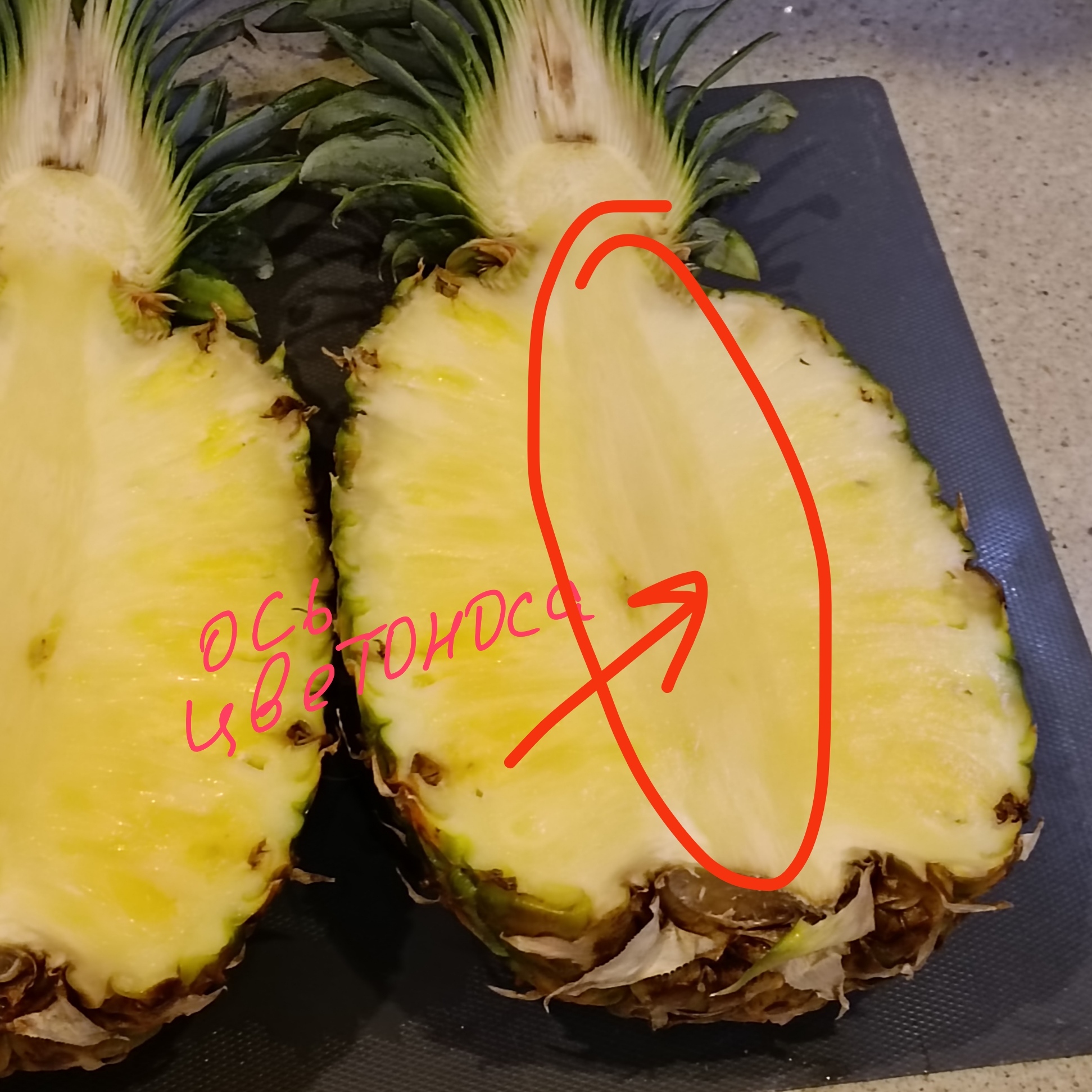 This is interesting: what is useful pineapple - A pineapple, Growing, Bromelain, Plants