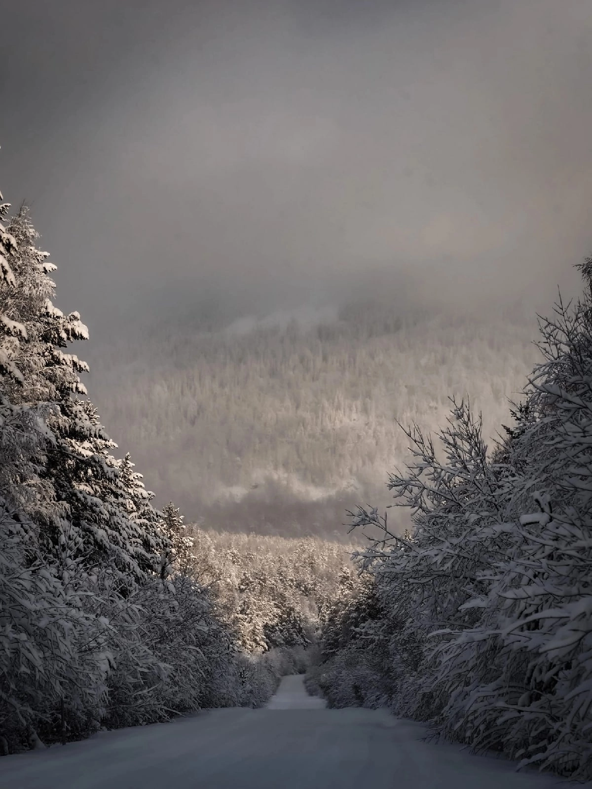 Small Uval. Chelyabinsk region - Chelyabinsk region, Southern Urals, The nature of Russia, Road, Snow, The photo