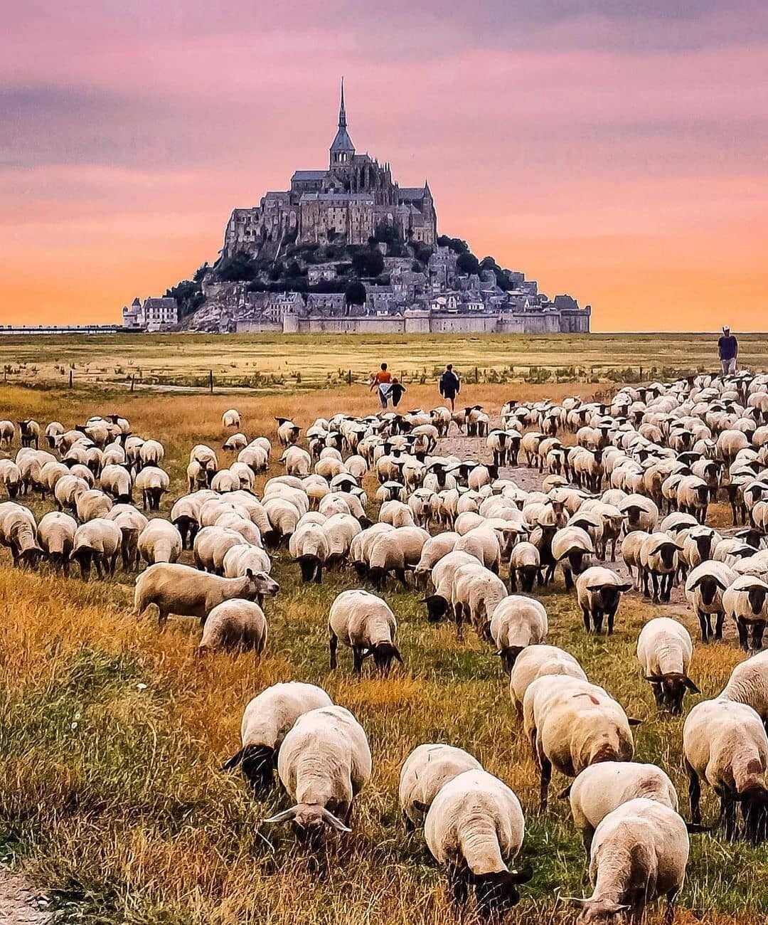 Аббатство Святого Михаила / Mont Saint Michel - Франция, Аббатство, Нормандия, Мон-Сен-Мишель, Длиннопост