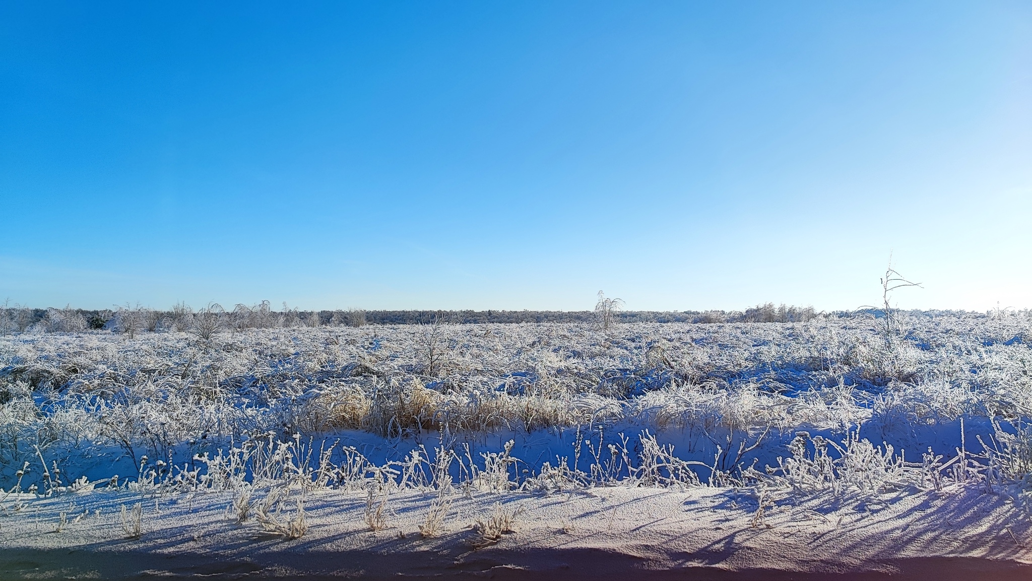 Winter road - Winter, Tree, The photo, Landscape