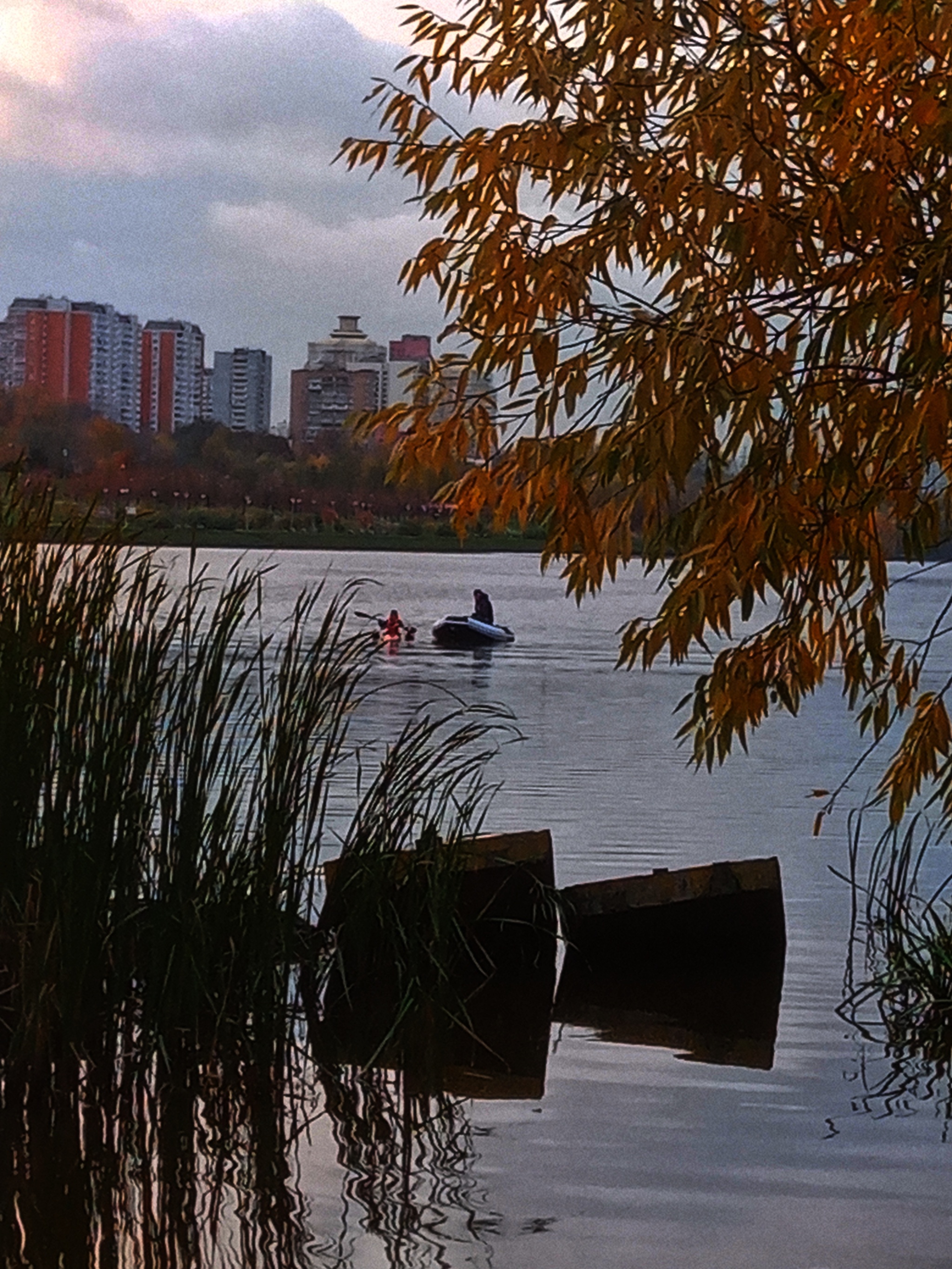 Maryino in autumn (Moscow) - My, Moscow, Maryino, Mobile photography, The photo, Nature, The park, Longpost