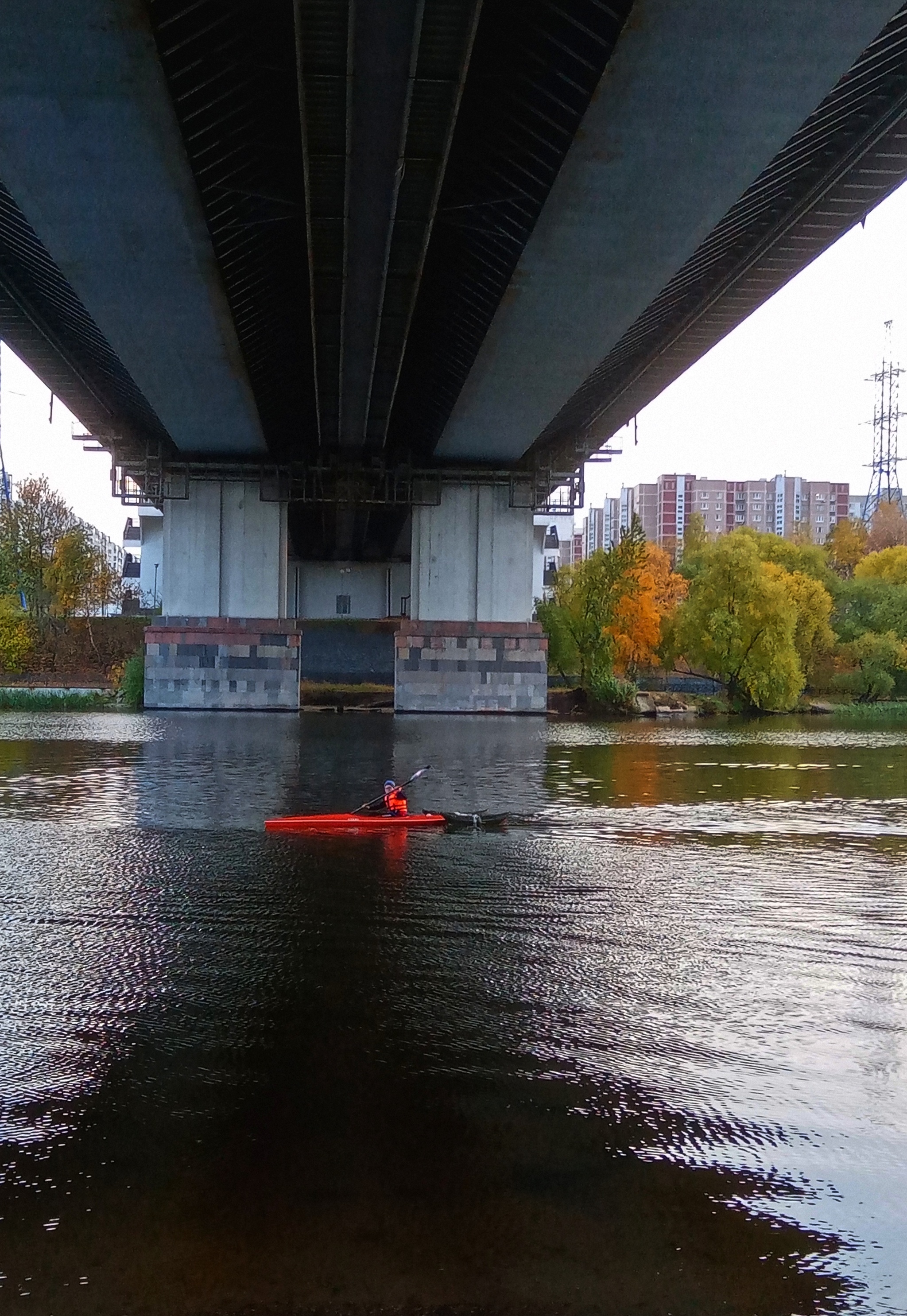 Maryino in autumn (Moscow) - My, Moscow, Maryino, Mobile photography, The photo, Nature, The park, Longpost