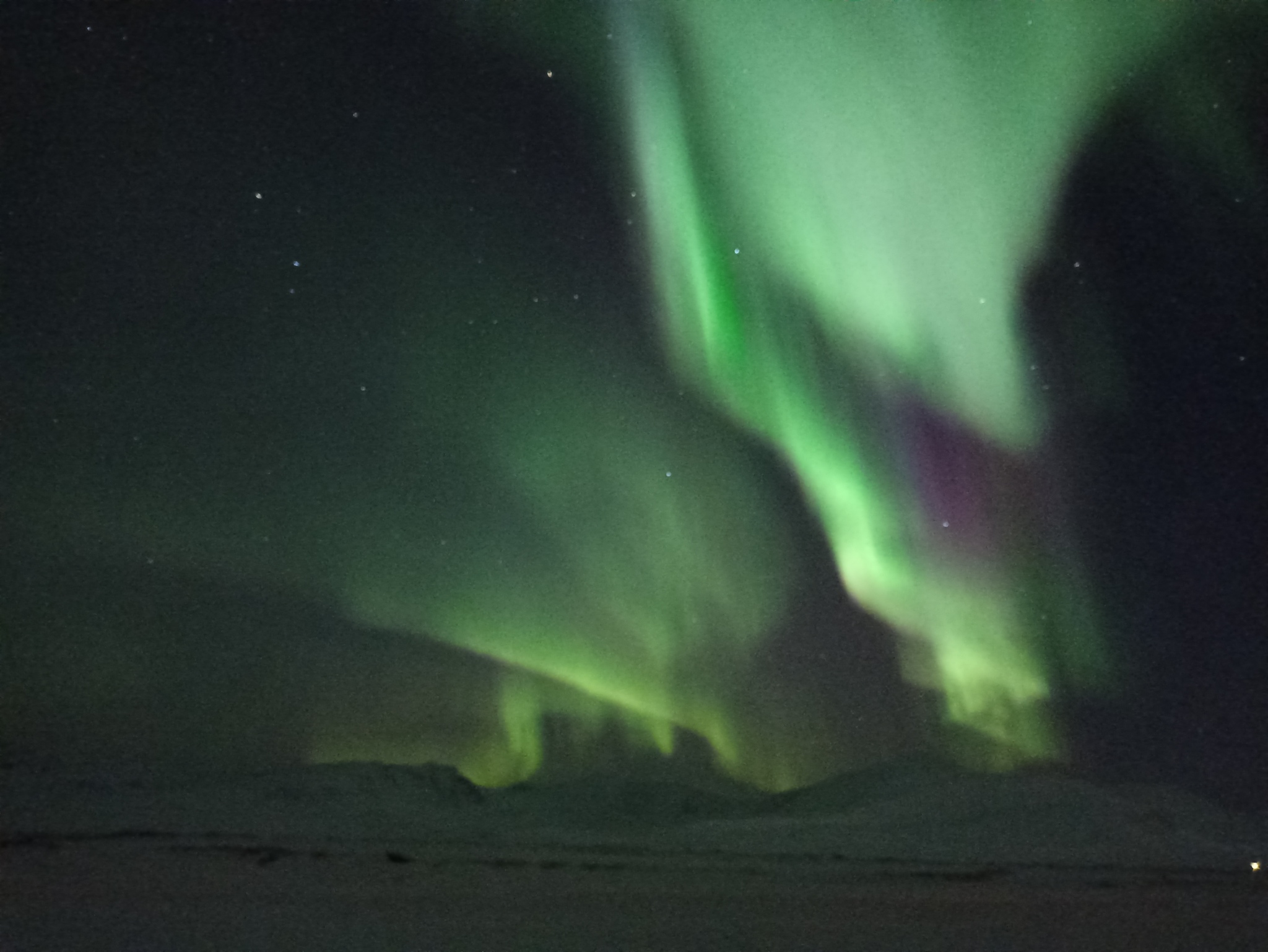 About the light show, or nothing to look at in the polar night - My, Travels, Nature, Tourism, North, Arctic, Adventures, Spitsbergen, Longpost, The photo