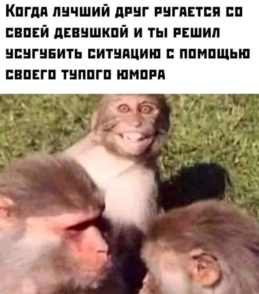 Scolded even more - Humor, Picture with text, Monkey, Repeat