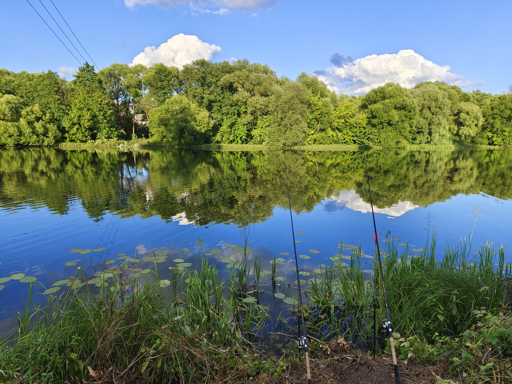 Summer in the village of Linen factory on the river Sukhodrev - My, Mobile photography, Beginning photographer, Catch, The nature of Russia, dawn, Longpost, Sky, Reflection, Clouds, Forest