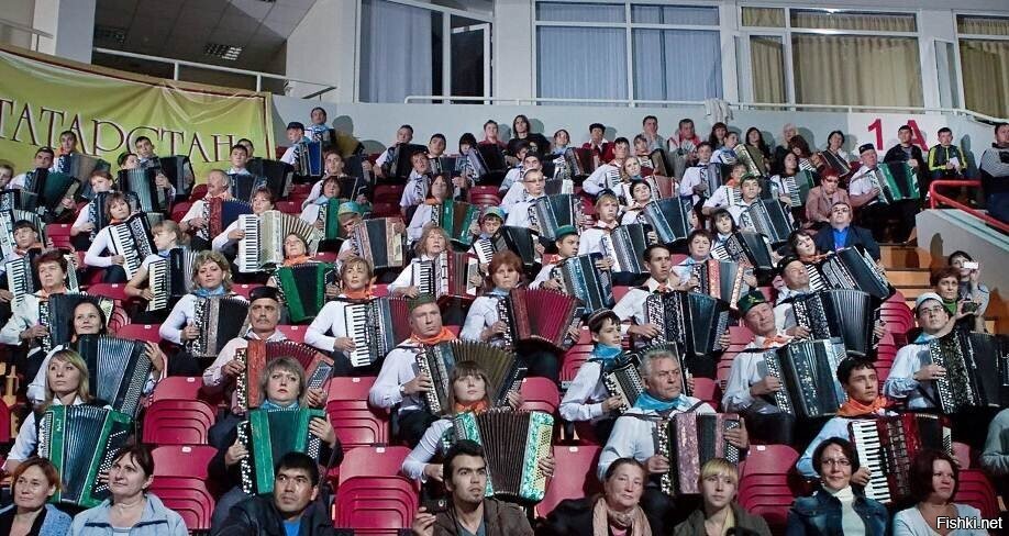 Peekaboo is experiencing the 1st button accordion revolution - Peekaboo, Humor, Images, Repeat, Wave of Boyans