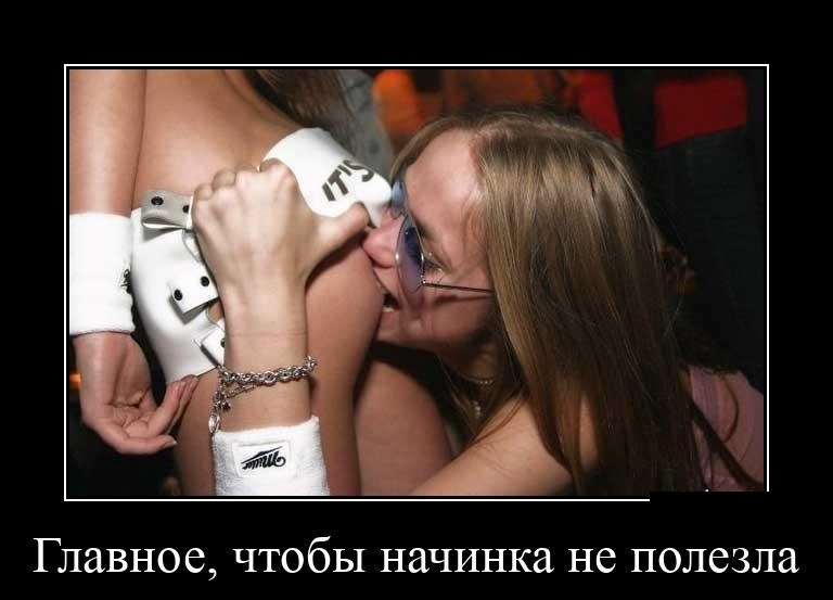 Fresh selection of demotivators - Fresh, Demotivator, Bayanometer, Peekaboo, Humor, Longpost