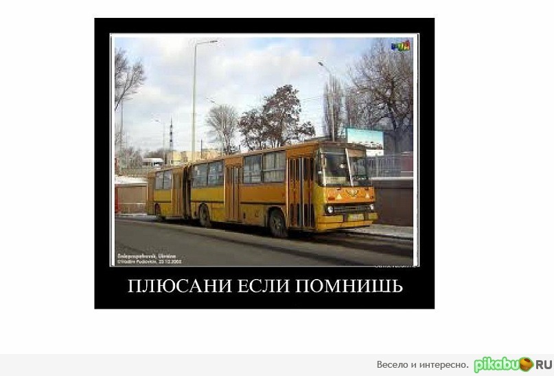 Do you remember? - Demotivator, Wave of Boyans, Bus, Picture with text