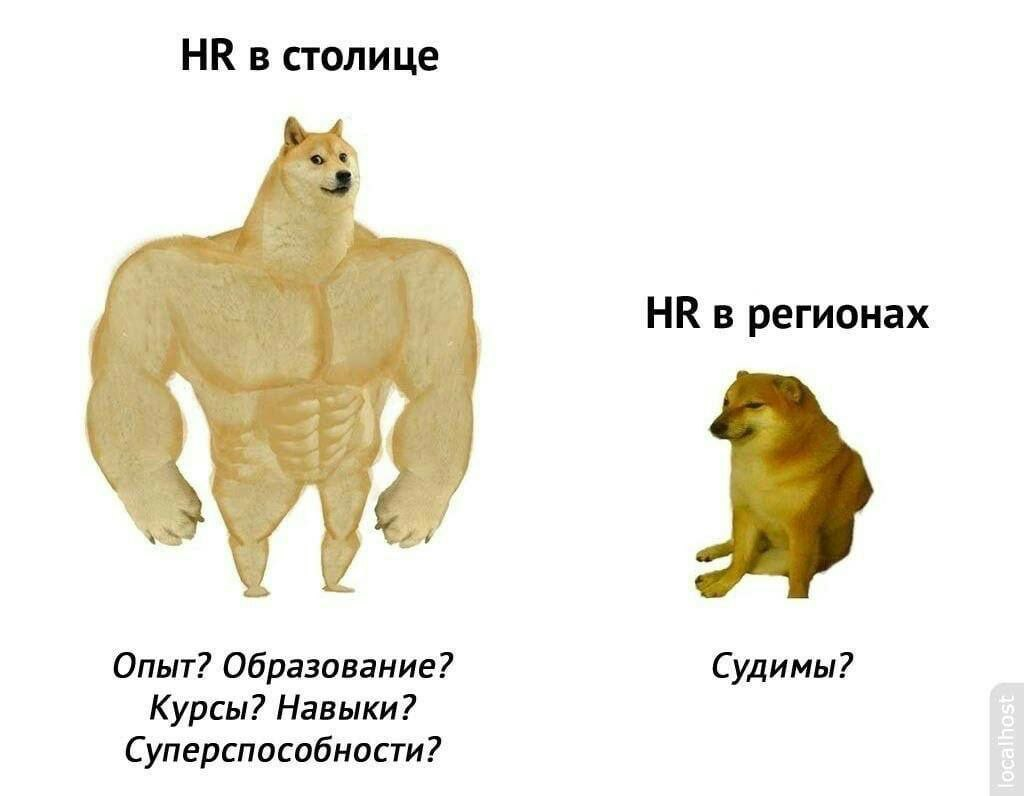 We go to the regions - Humor, Picture with text, Doge, Human Resources Department, Repeat