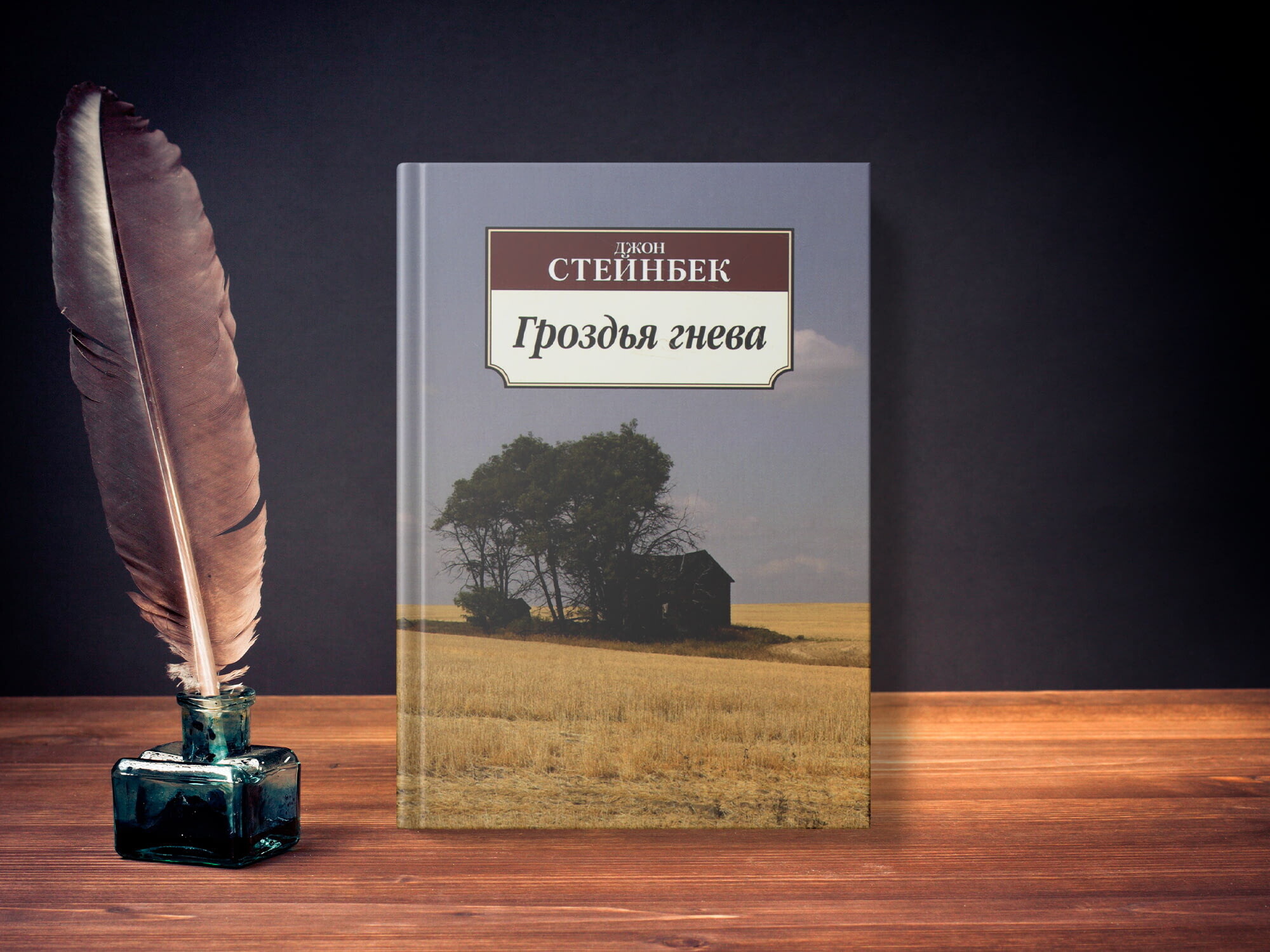 Чтопочитать: 5 культовых остро-социальных американских романов | Пикабу