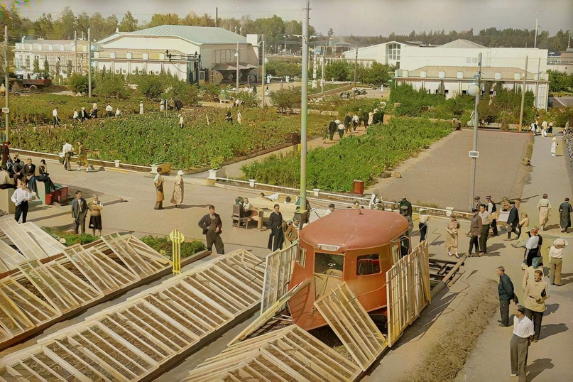 Camels, palm trees and tobacco fields - this was VDNKh (VSHV) at the opening. Historical photographs from 1939 - My, Colorization, Old photo, Architecture, the USSR, 1930s, VDNKh, VVC, Vshv, Moscow, Story, Longpost