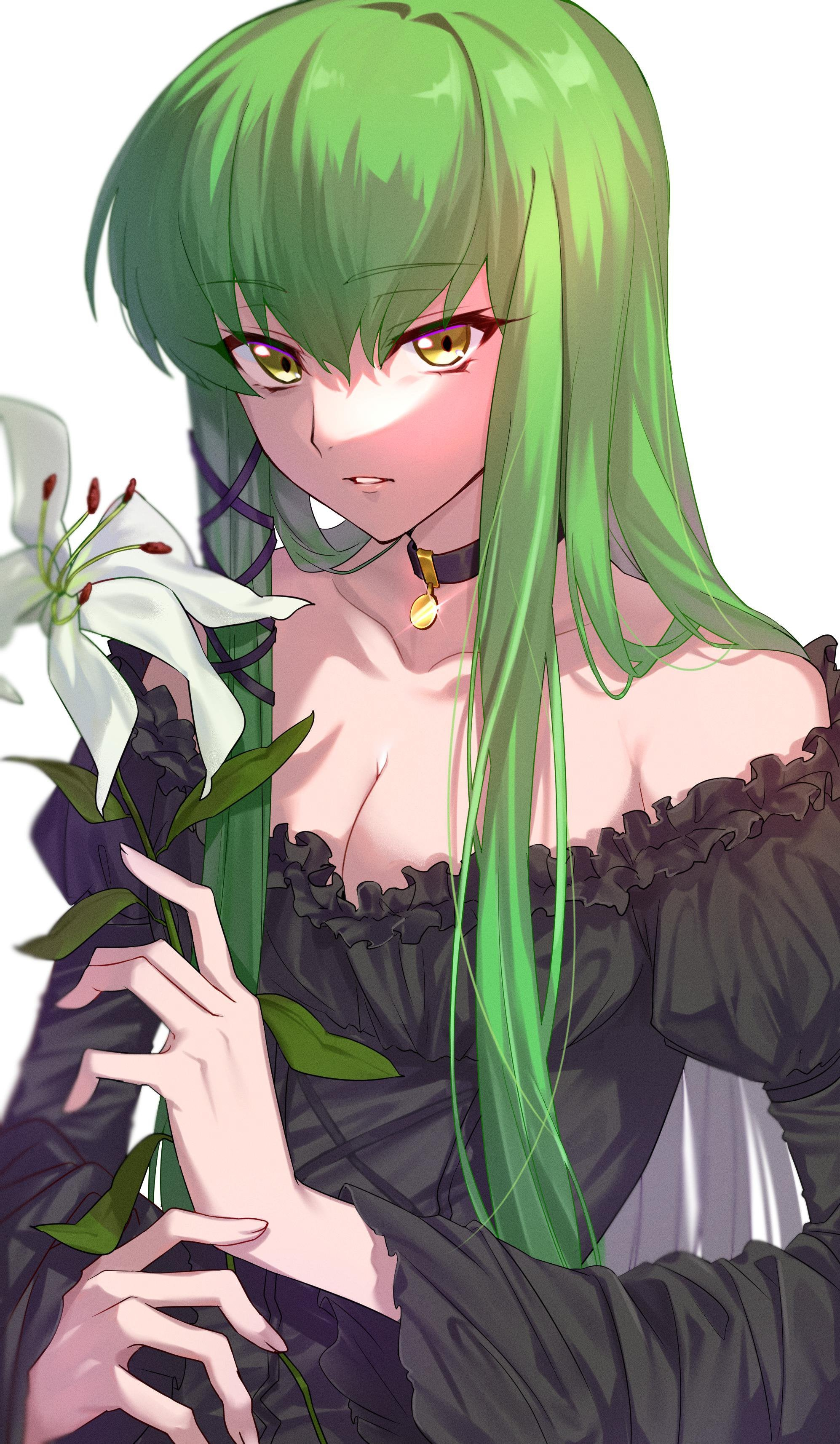 CC - Anime art, Anime, CC (Code Geass), Code geass