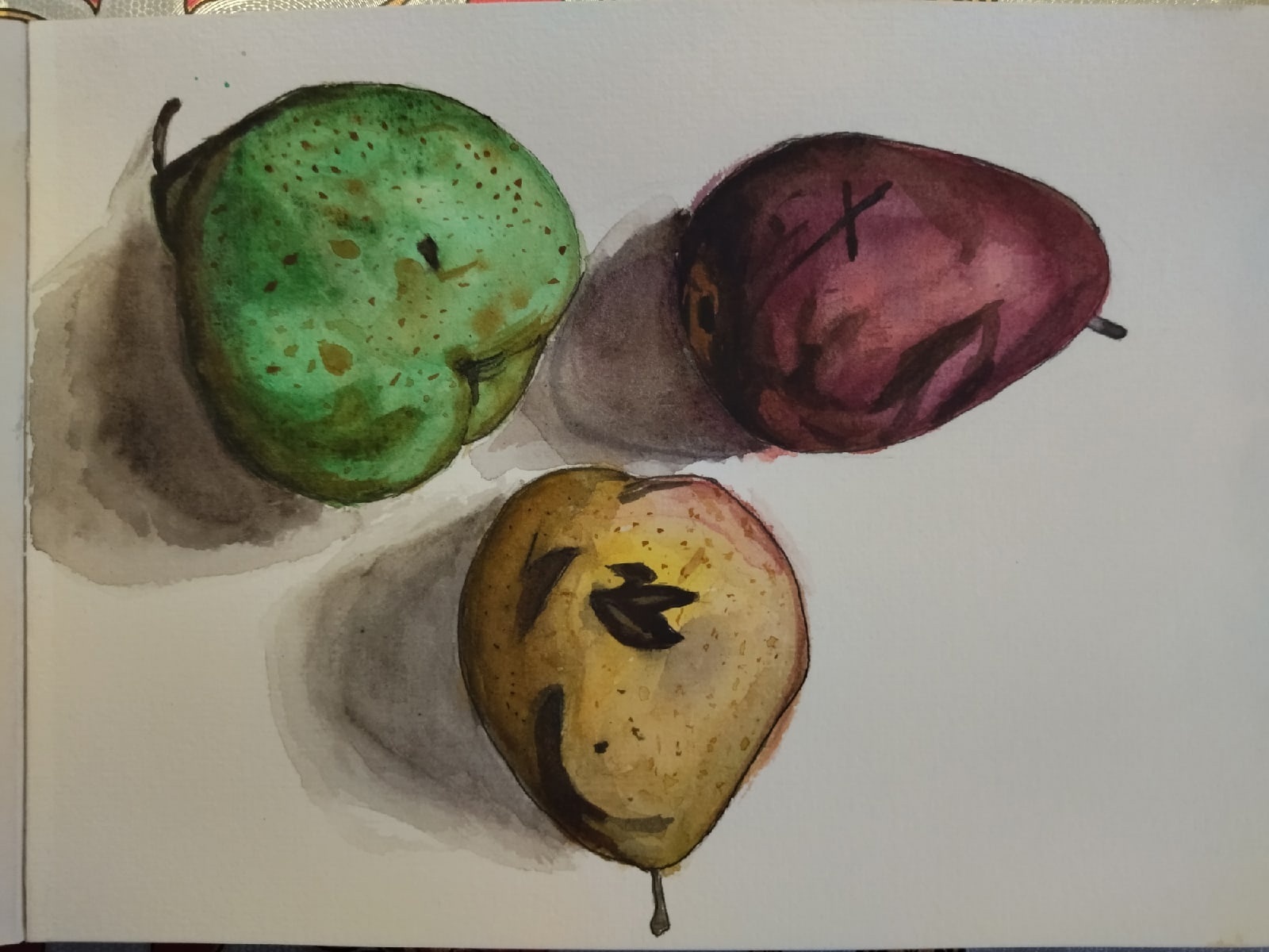 Pears, sketch - My, Sketch, Watercolor, Beginner artist