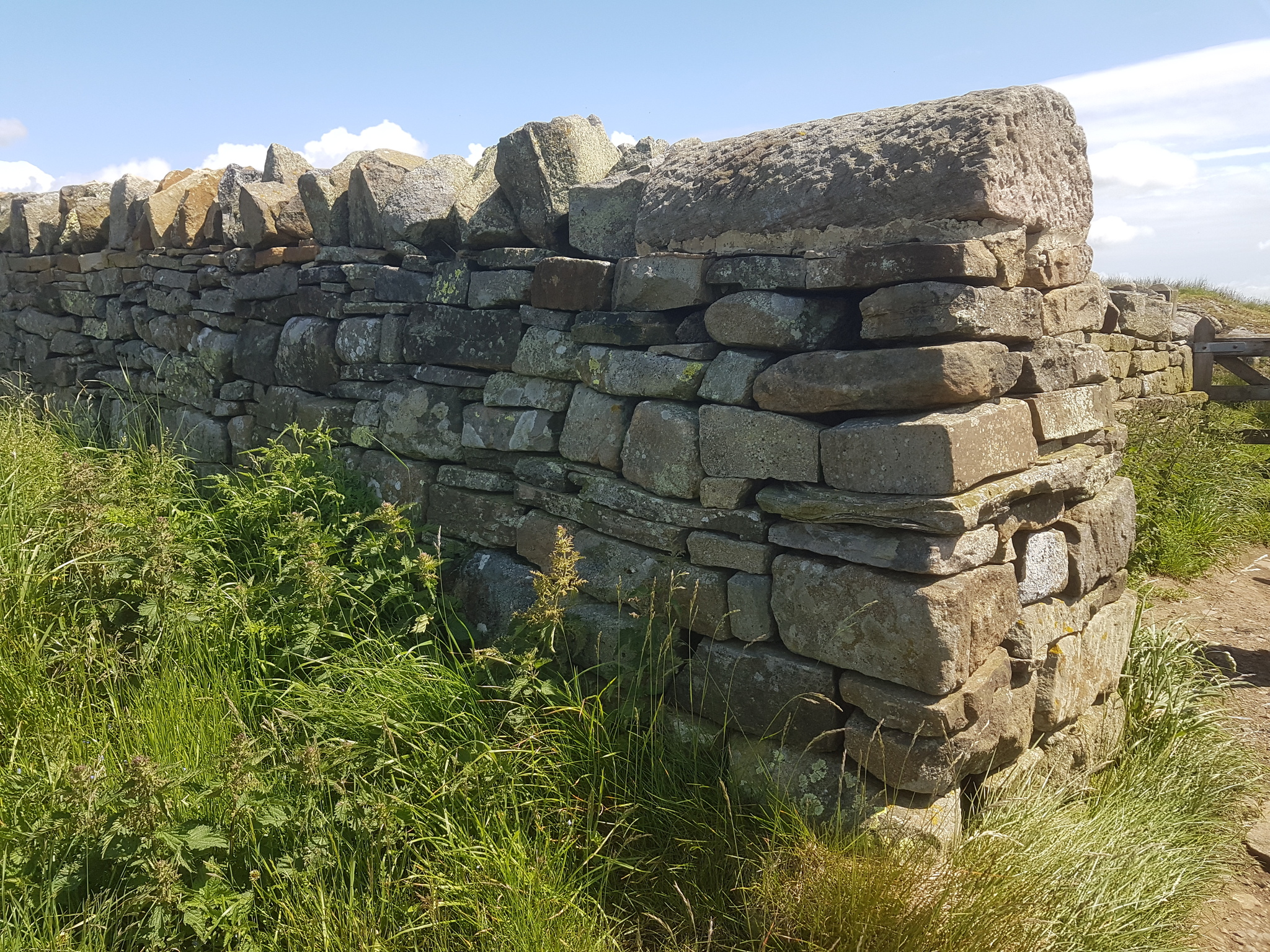 Hadrian's Wall (part 2) - My, Story, Archeology, Hadrian's Wall, Ancient Rome, Longpost, The photo, Landscape