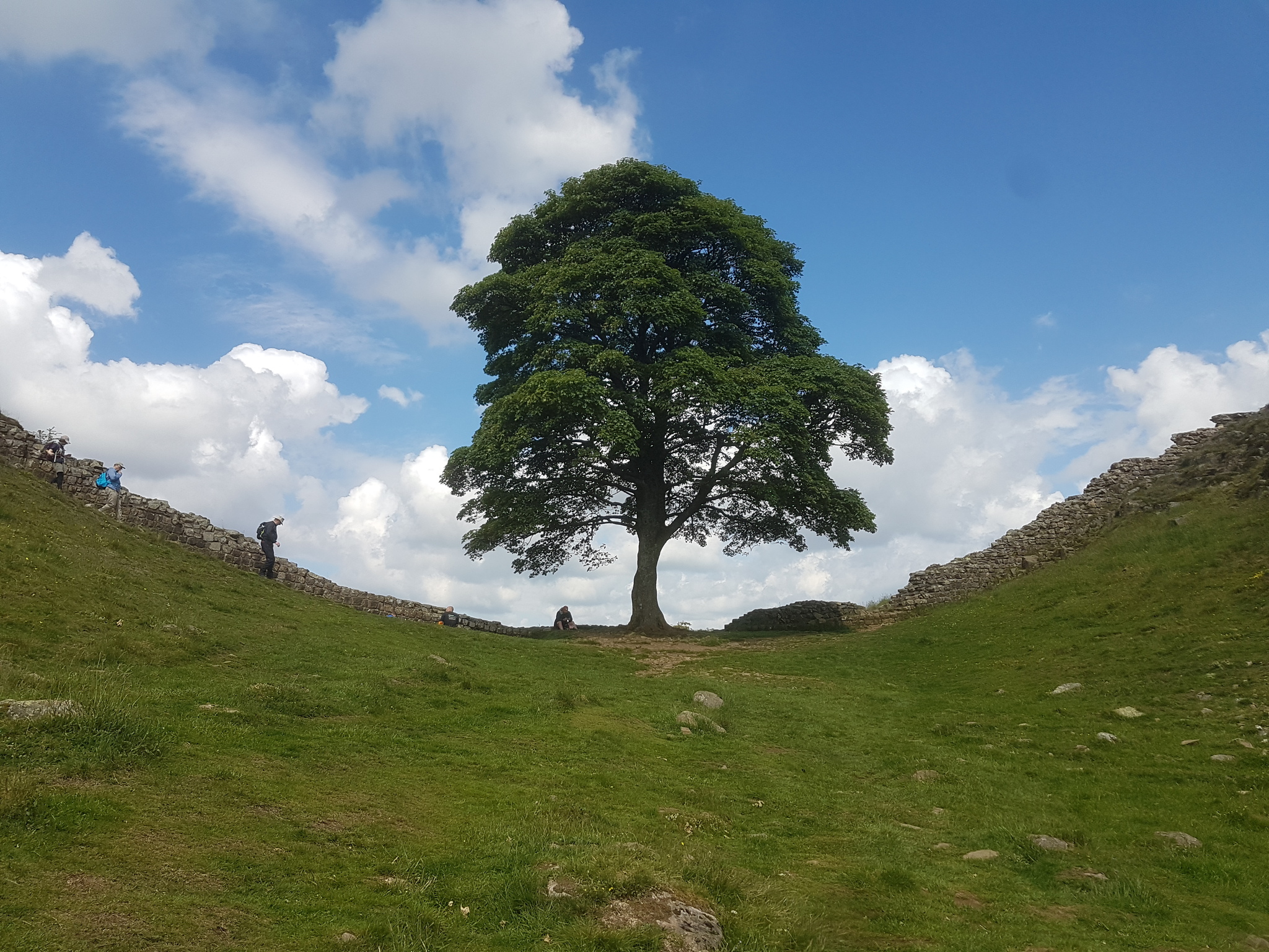 Hadrian's Wall (part 2) - My, Story, Archeology, Hadrian's Wall, Ancient Rome, Longpost, The photo, Landscape