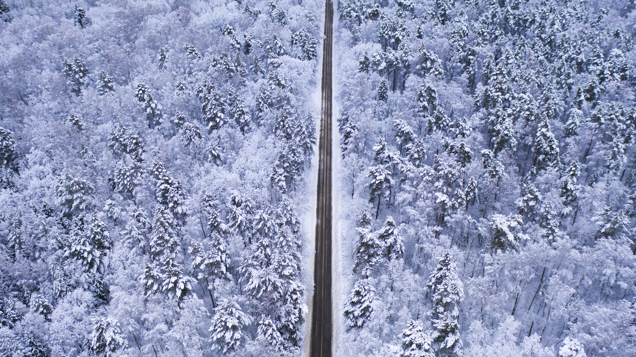 shortest distance - My, Aerial photography, Road, Quadcopter, The photo, Drone, River, Video, Longpost