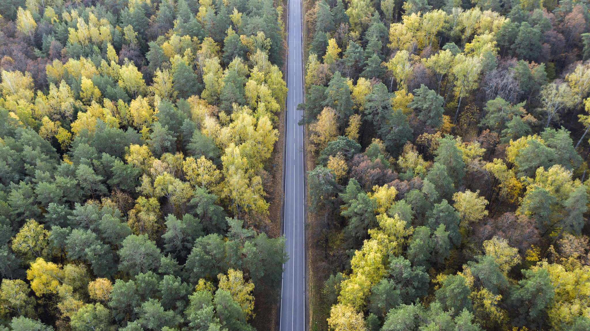 shortest distance - My, Aerial photography, Road, Quadcopter, The photo, Drone, River, Video, Longpost