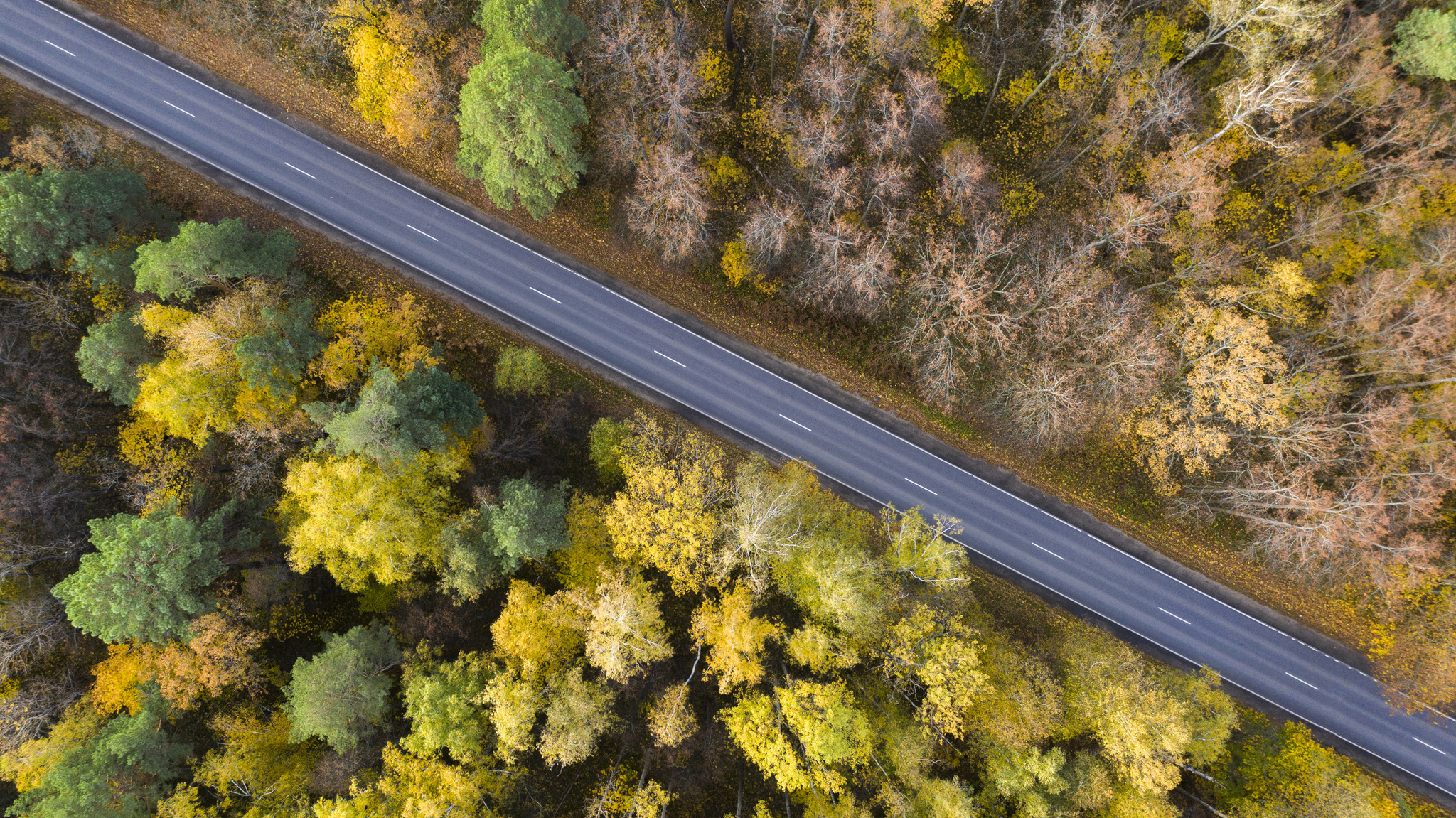 shortest distance - My, Aerial photography, Road, Quadcopter, The photo, Drone, River, Video, Longpost