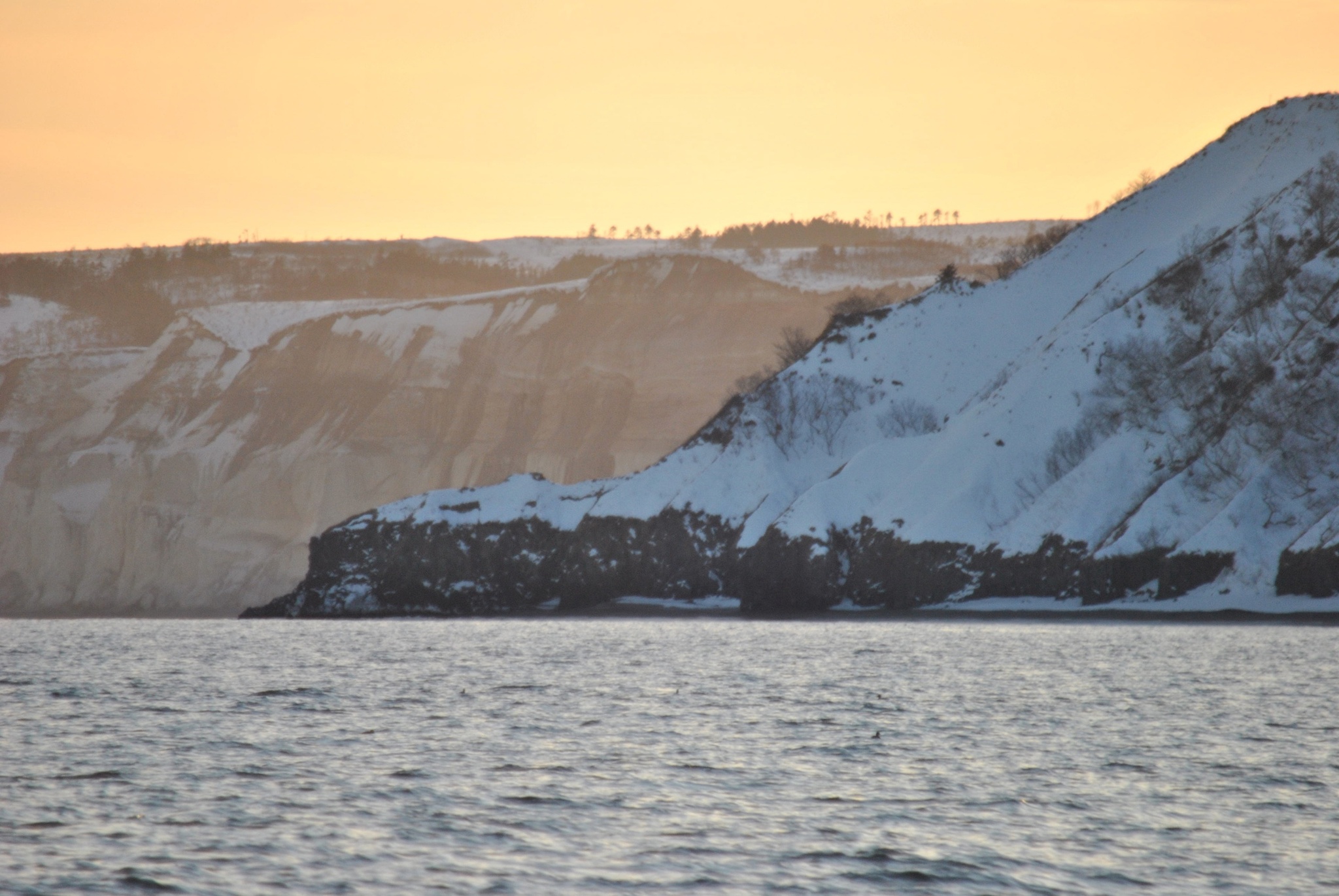 Life of reserved people. Kuriles - My, Kurile Islands, Kunashir, Дальний Восток, wildlife, Работа мечты, National park, Reserves and sanctuaries, Sea of ??Okhotsk, Pacific Ocean, Volunteering, Zhzl, Ecology, Longpost