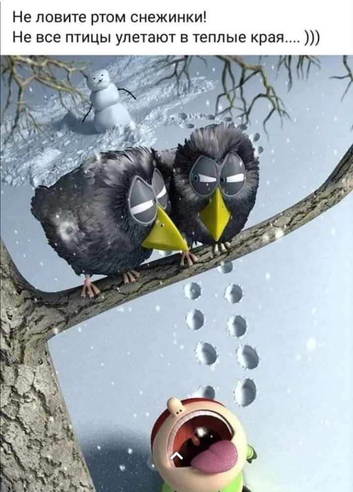 The main thing is not to yawn... - Winter, Snow, Snowflake, Tree, Birds, Humor, Picture with text