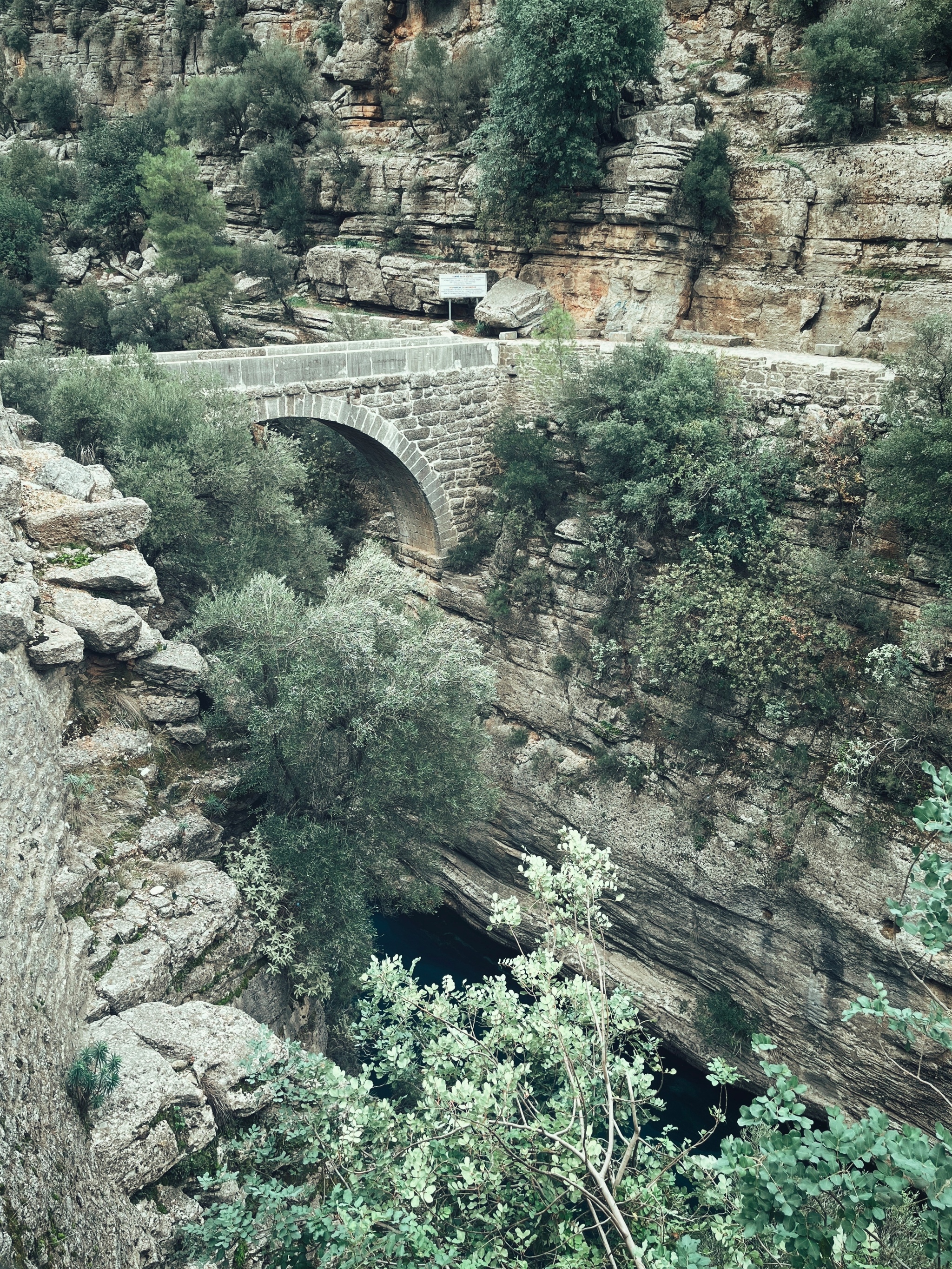 Cats are also not alien to the desire to admire beautiful views (especially if they also stroke) - My, cat, The mountains, Bridge, Travels, Tourism, Туристы, Mobile photography, Canyon, Turkey, Longpost