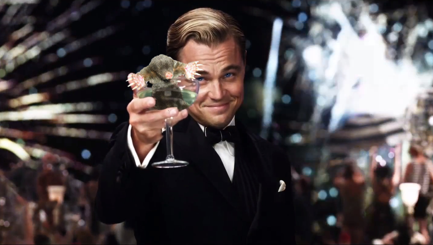 Continuation of the post On the wave of posts about Krotovukha  - My, Post #9721781, Memes, Alcohol, Leonardo DiCaprio