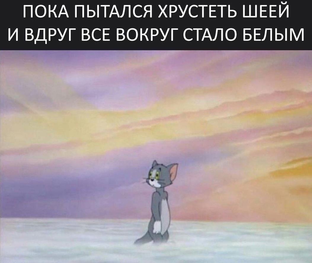 This crunch was the last - cat, Tom and Jerry, Old age, Humor, Memes, Picture with text