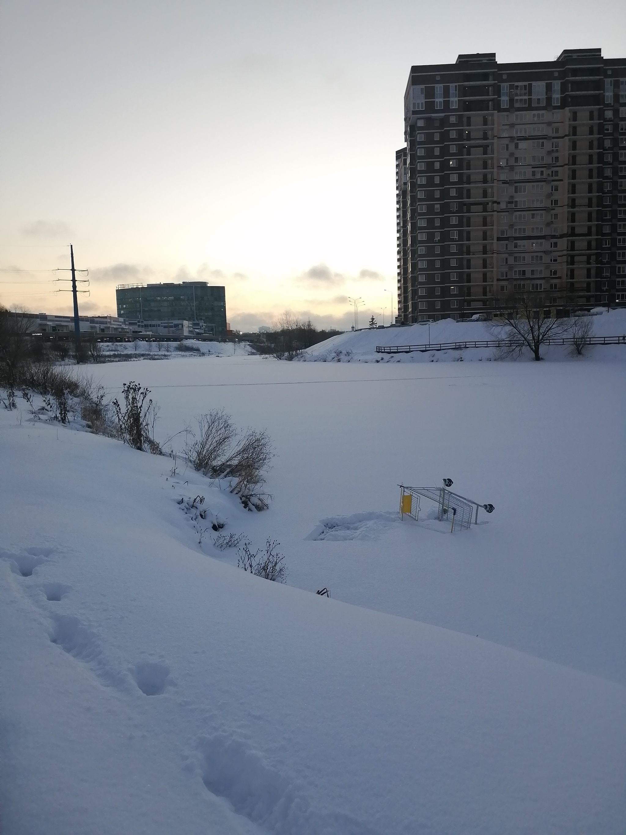 Trolley in the wild - My, Cart, Moscow, Winter