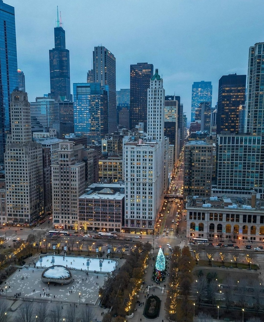 Chicago - The photo, Chicago, USA, Town, Winter, Christmas tree