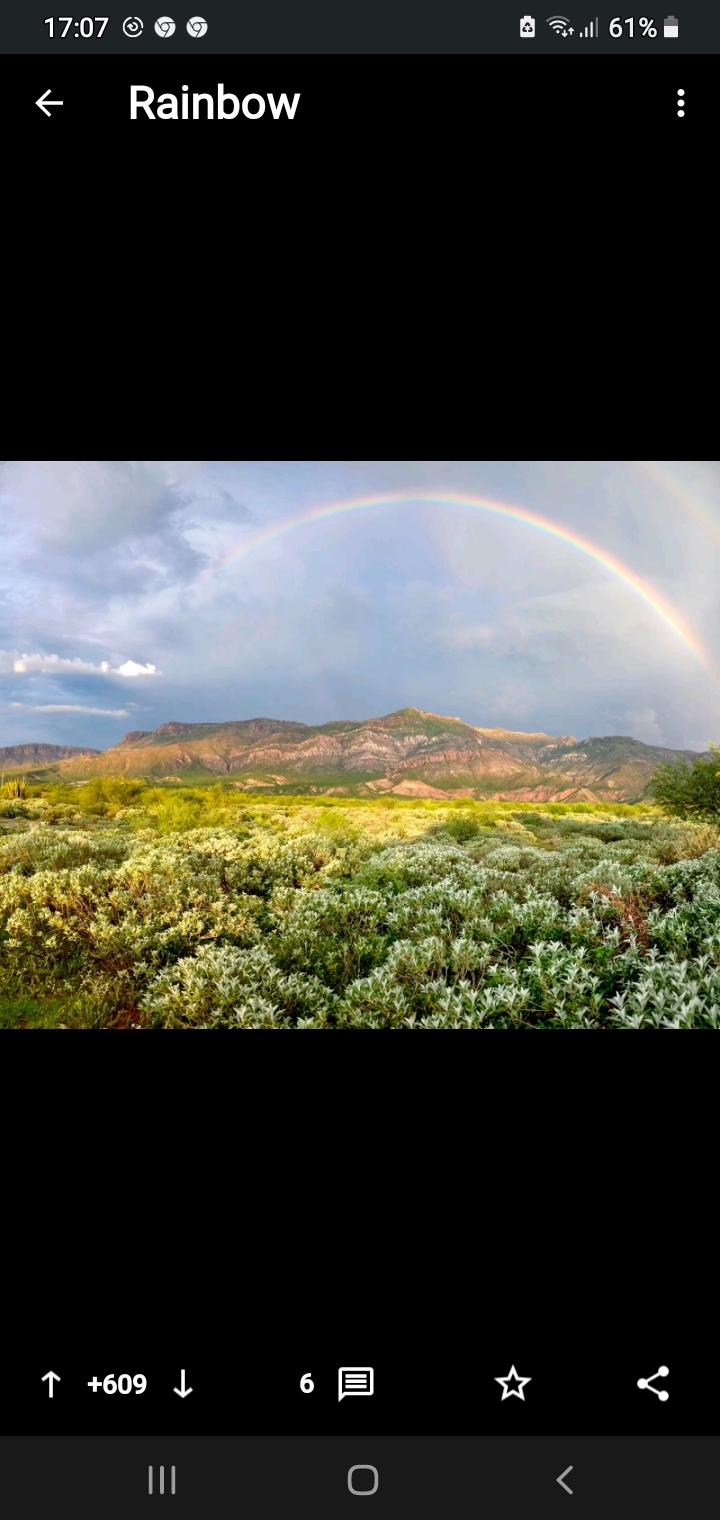 rainbow i love - My, misty rainbow, Love, Longpost