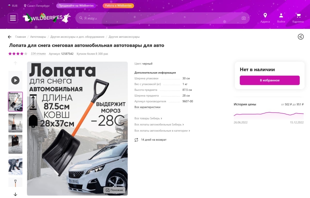 In St. Petersburg, all car shovels sold out on marketplaces - My, Saint Petersburg, Winter, Alexander Beglov