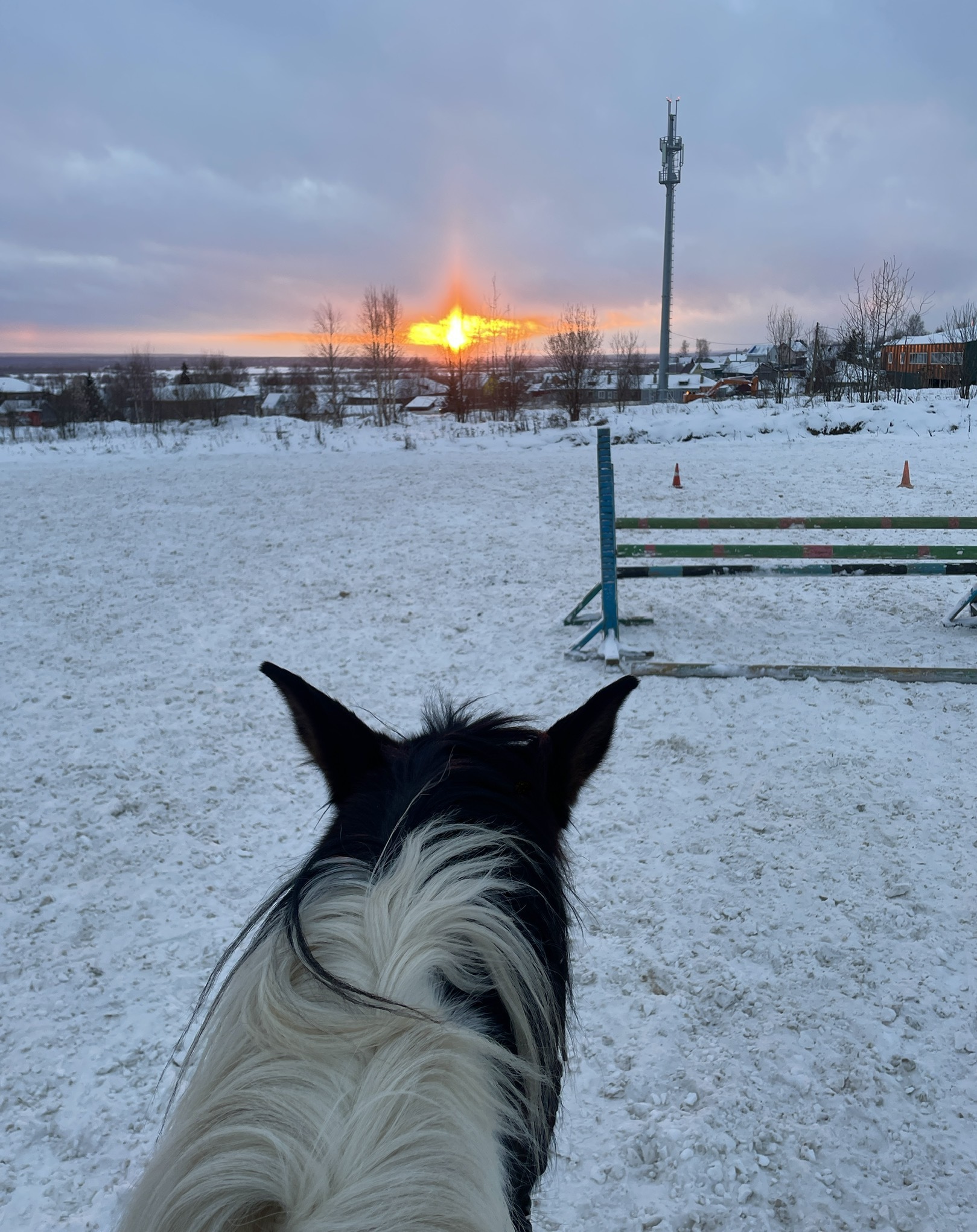 When the eye of Sauron looks straight into the soul - My, Horses, beauty, Nature, Eye of Sauron, Winter