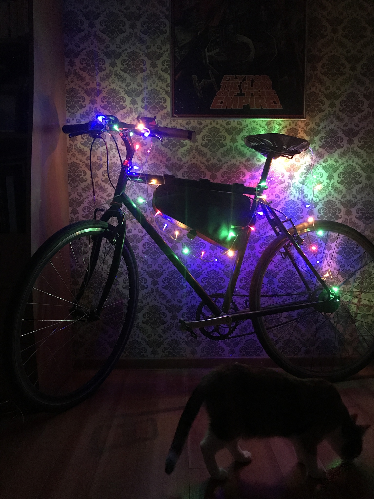 Time to put up the wagon - My, New Year, Holidays, A bike