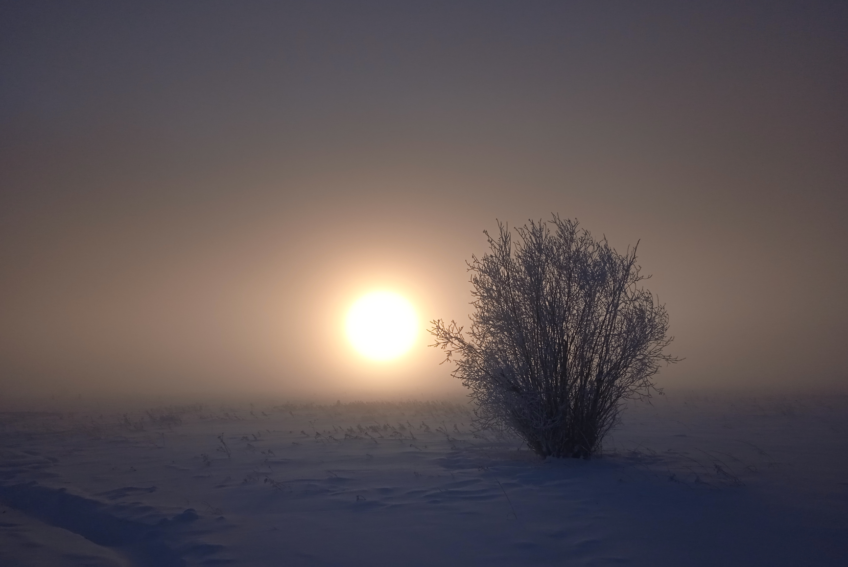 Yakutsk. -43. Walk to the river - My, Yakutsk, Winter hike, Lena river, Video, Longpost, Snow