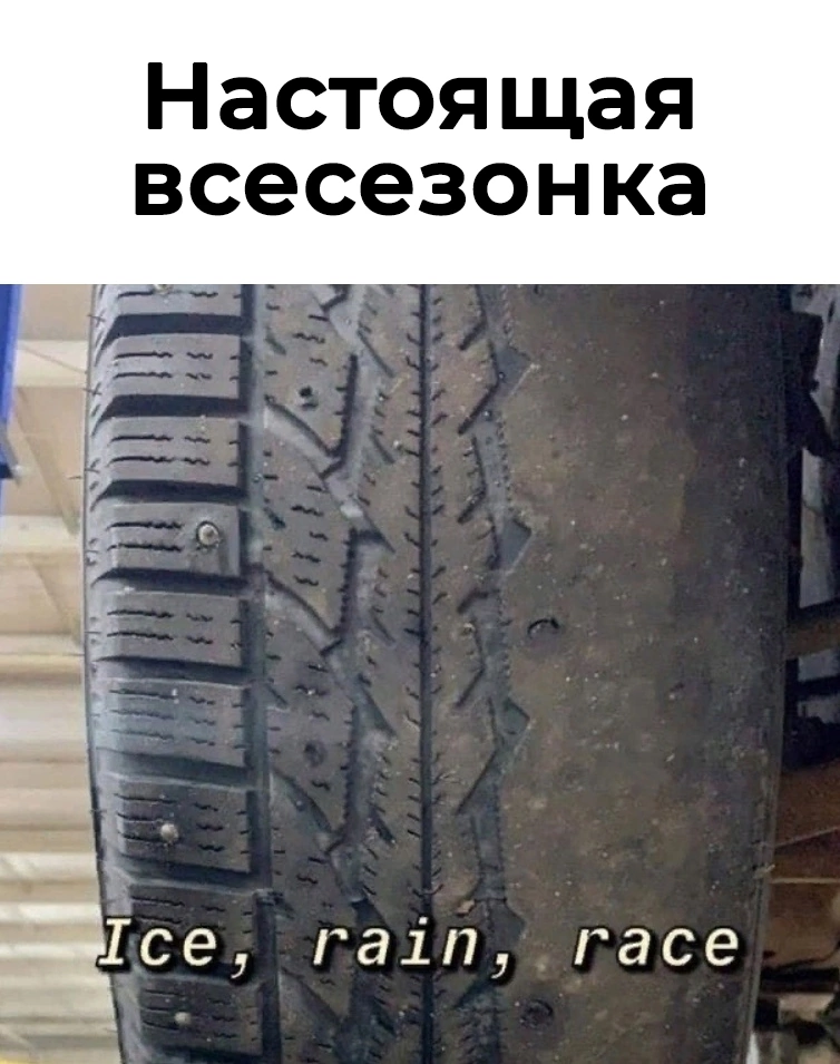 For the pros - Humor, Tires, Picture with text, Auto