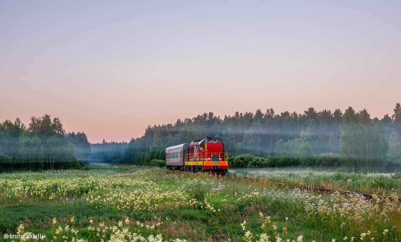 In the fields - A train, Field, The photo, Railway