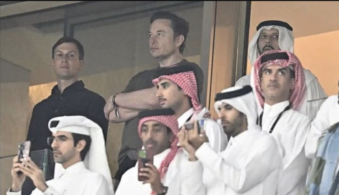 Elon Musk also watches football - FIFA World Cup 2022, The final, Elon Musk, Болельщики, Football