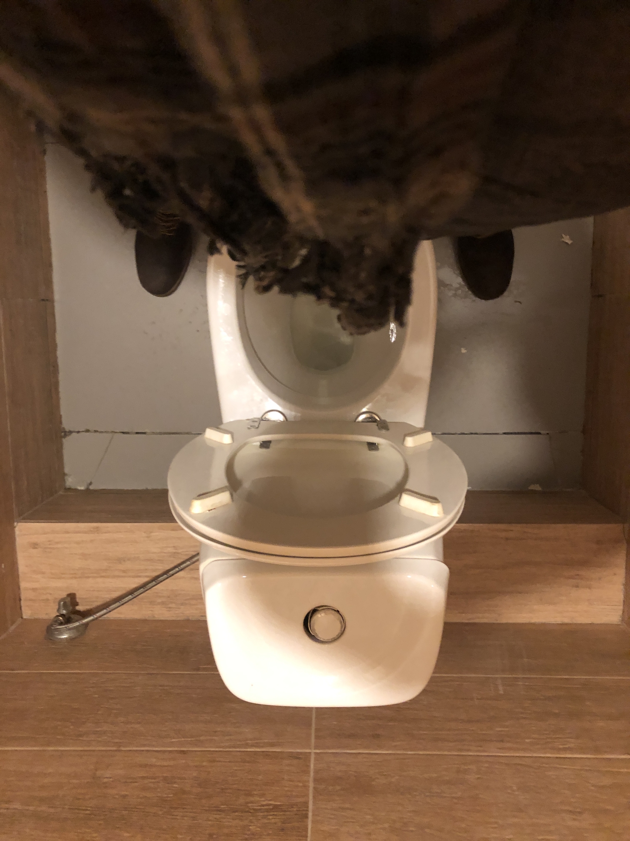 About dirty toilets - My, Urination, Miss