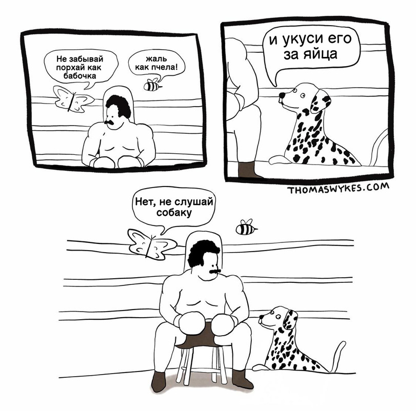 Don't listen to the dog! - Comics, Dog, Boxing, Butterfly, Bees, Mike Tyson