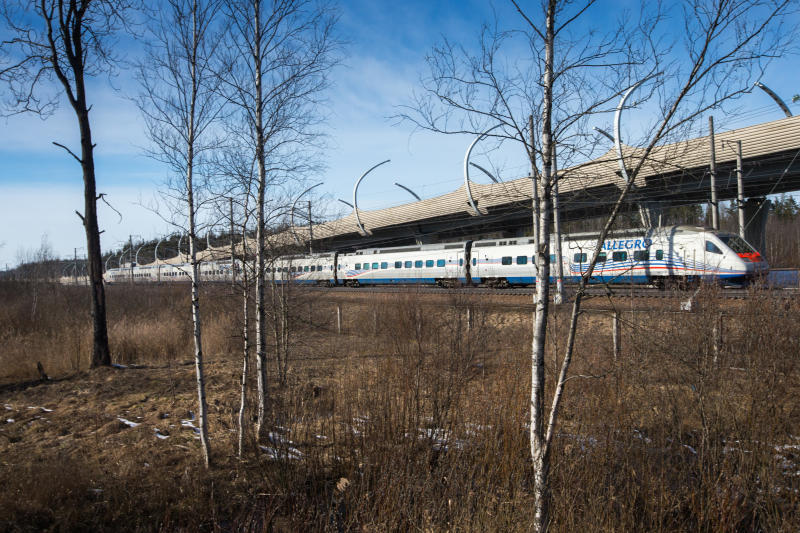 Day of high speeds on the country's railways - My, Railway, Public transport, Russian Railways, Transport, Peregrine falcon, Allegro, Martin, A train, Longpost