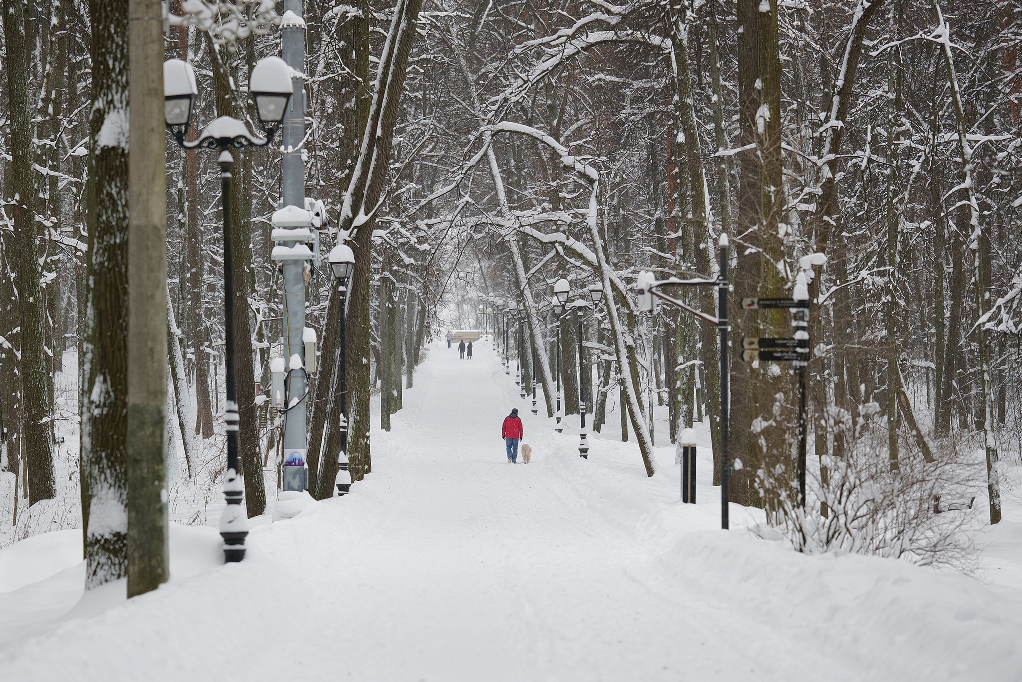 Covers park. Зимний парк снегопад.