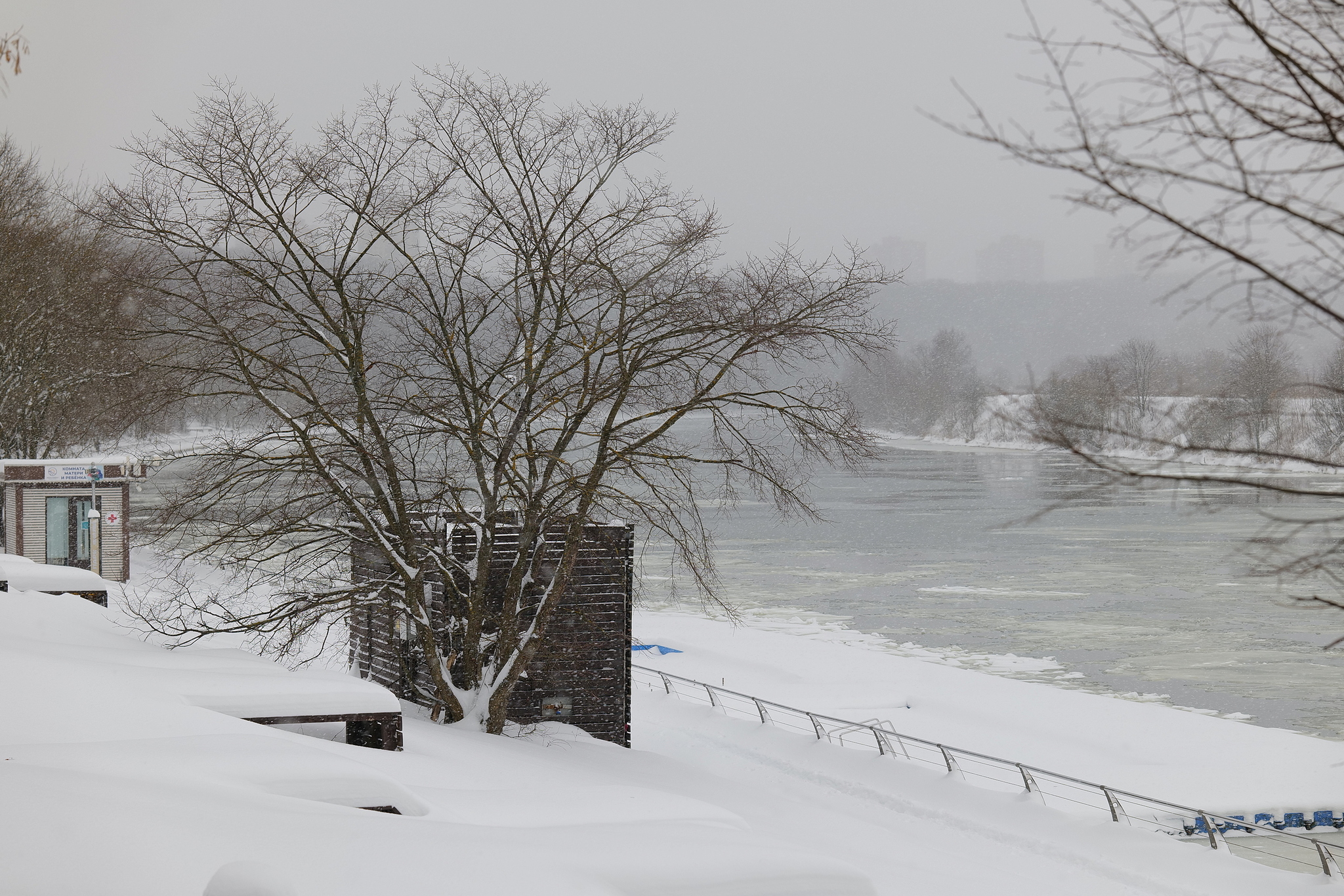 snow covered park - My, The photo, The park, Embankment, Winter, Snowfall, Sigma, Longpost