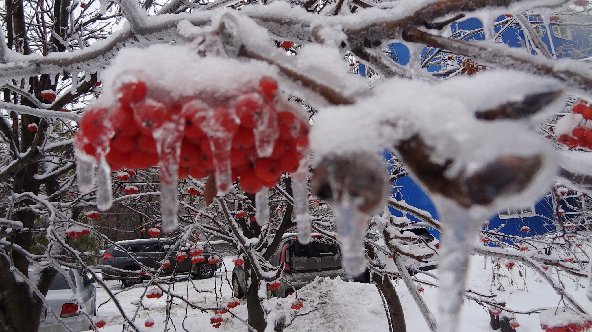 The city of ufa. after a freezing rain, the trees are covered with a crust of ice. 19 12 2022 and beautiful and dangerous for cars and people - My, Ufa, Ice, news, Bashkortostan, Bad weather, Town, Winter, Blog, Bloggers, Walk, Freezing rain, The photo, Video blog, Video, Youtube, Longpost