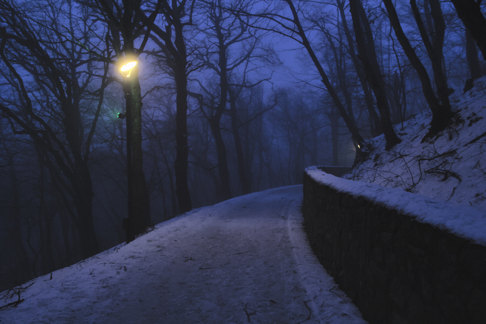 Evening foggy park - My, Canon, The photo, Nature, The park, Zheleznovodsk, Evening